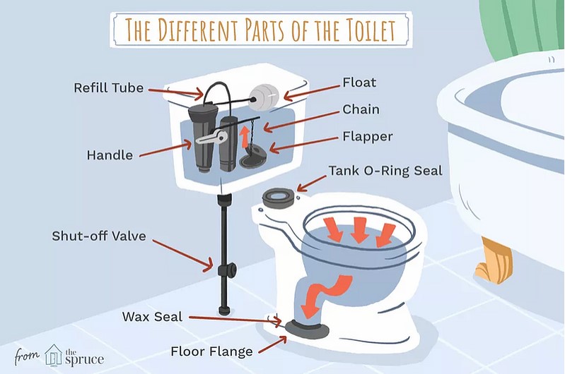 The different parts of the toilet infographic. 